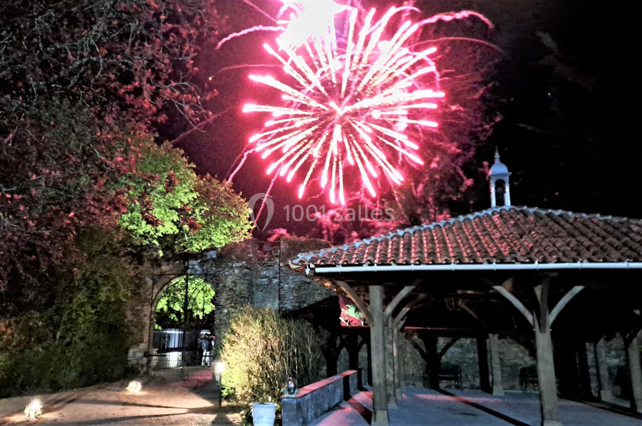 Location salle Cléré-sur-Layon (Maine-et-Loire) - Château des Landes #37