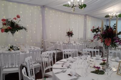 Location salle Cléré-sur-Layon (Maine-et-Loire) - Château des Landes #42