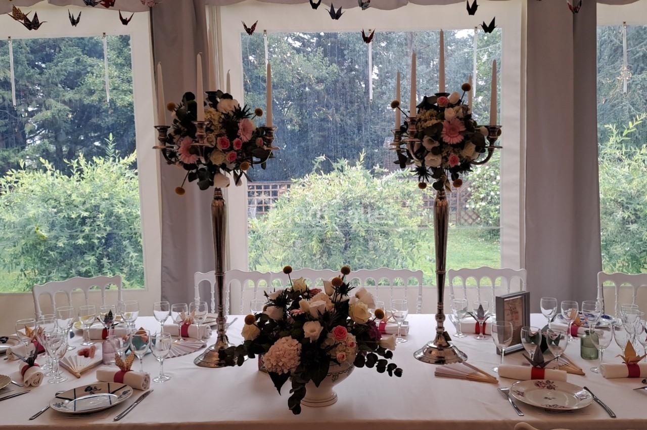 Location salle Cléré-sur-Layon (Maine-et-Loire) - Château des Landes #7