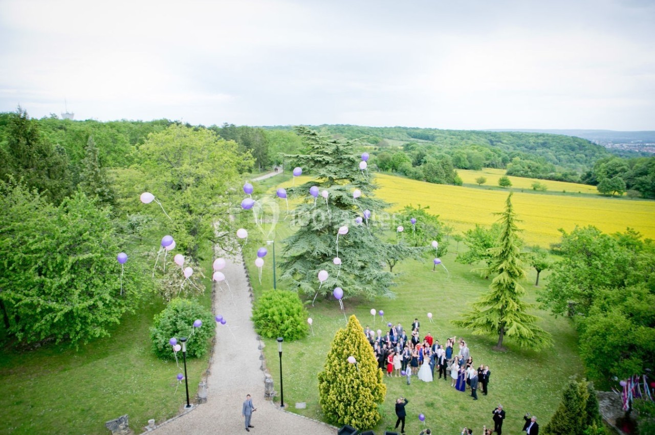 Vue aérienne d'un groupe de personnes dans un jardin, entouré de champs, lâchant des ballons violets et blancs.