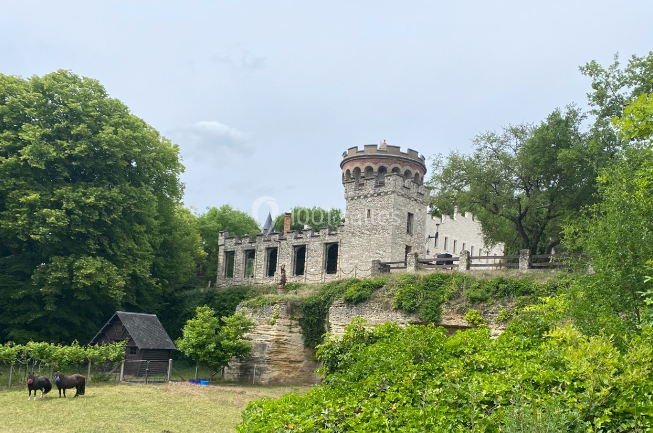 Château en pierre entouré de verdure, avec une tour ronde et des chevaux dans un enclos au premier plan.