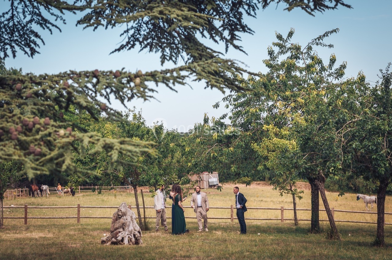 Un petit groupe de personnes discute dans un pré entouré d'arbres, avec des chevaux visibles en arrière-plan.