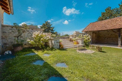 Paysage champêtre avec un arbre pleureur, des fleurs bleues au premier plan et un champ sous un ciel partiellement nuageux.