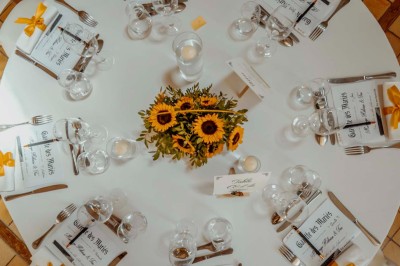 Paysage champêtre avec un arbre pleureur, des fleurs bleues au premier plan et un champ sous un ciel partiellement nuageux.