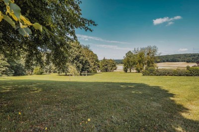 Paysage champêtre avec un arbre pleureur, des fleurs bleues au premier plan et un champ sous un ciel partiellement nuageux.