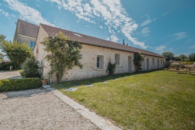 Paysage champêtre avec un arbre pleureur, des fleurs bleues au premier plan et un champ sous un ciel partiellement nuageux.