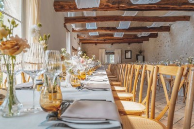 Paysage champêtre avec un arbre pleureur, des fleurs bleues au premier plan et un champ sous un ciel partiellement nuageux.