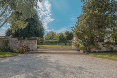 Paysage champêtre avec un arbre pleureur, des fleurs bleues au premier plan et un champ sous un ciel partiellement nuageux.