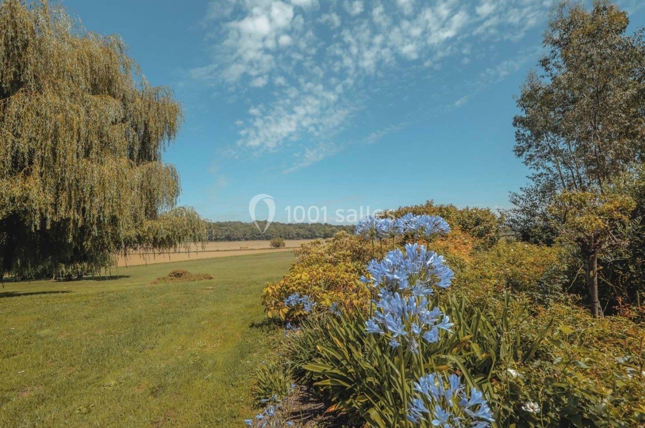 Paysage champêtre avec un arbre pleureur, des fleurs bleues au premier plan et un champ sous un ciel partiellement nuageux.