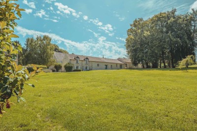Paysage champêtre avec un arbre pleureur, des fleurs bleues au premier plan et un champ sous un ciel partiellement nuageux.