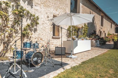 Paysage champêtre avec un arbre pleureur, des fleurs bleues au premier plan et un champ sous un ciel partiellement nuageux.
