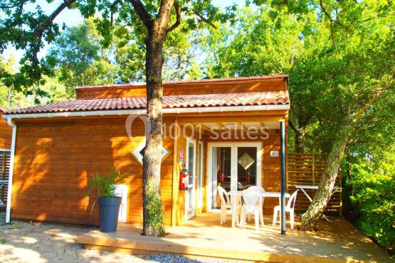 Chalet en bois entouré de végétation, avec terrasse équipée de mobilier de jardin sous un arbre.