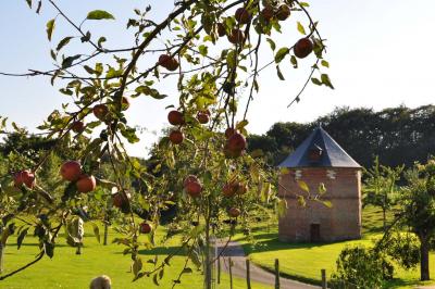 Salle rustique avec murs en pierre et poutres apparentes, aménagée avec tables hautes, canapés et décorations simples.