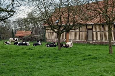 Salle rustique avec murs en pierre et poutres apparentes, aménagée avec tables hautes, canapés et décorations simples.