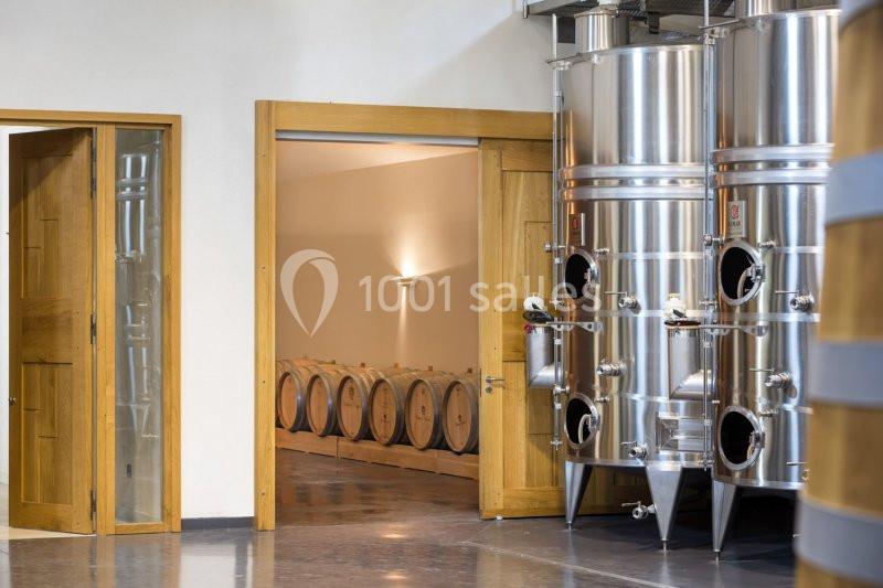 Château Vaudois - galerie - photo 23