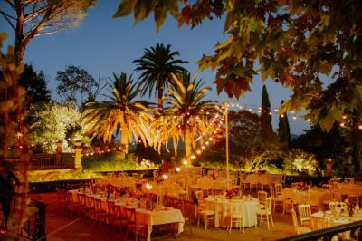 Allée bordée de palmiers éclairés, menant à une fontaine illuminée dans un jardin au crépuscule.