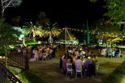Allée bordée de palmiers éclairés, menant à une fontaine illuminée dans un jardin au crépuscule.