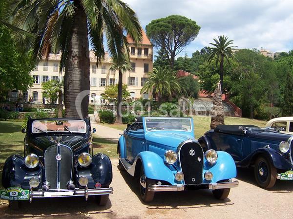Voitures anciennes exposées en plein air devant un bâtiment historique entouré de palmiers et de verdure.