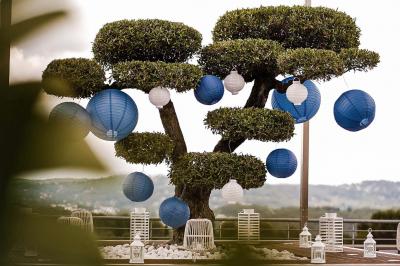 Miniature Location salle Grasse (Alpes-Maritimes) - Le Cube Réceptions #18 Location salle Grasse (Alpes-Maritimes) - Le Cube Réceptions #66