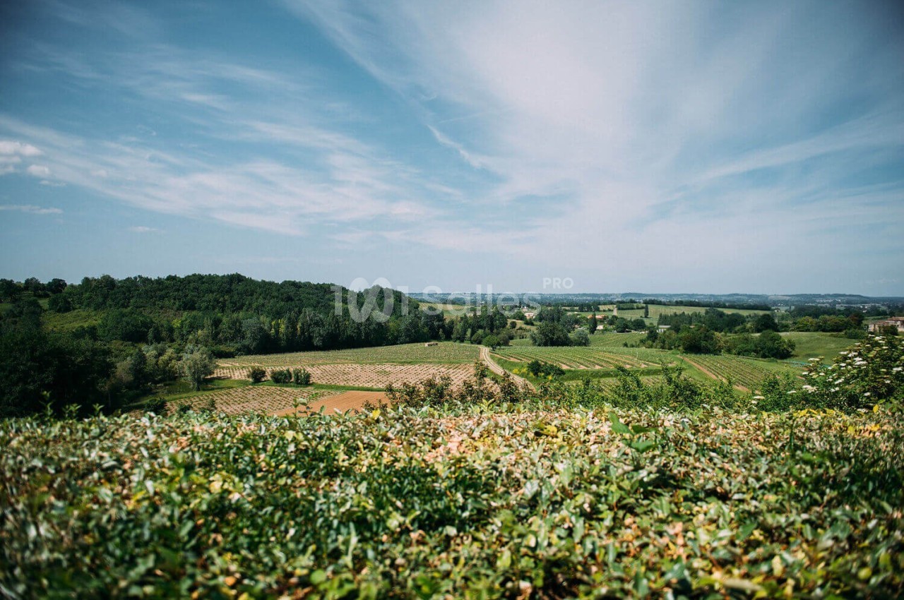 Paysage rural avec des champs, des haies et une forêt sous un ciel bleu partiellement nuageux.