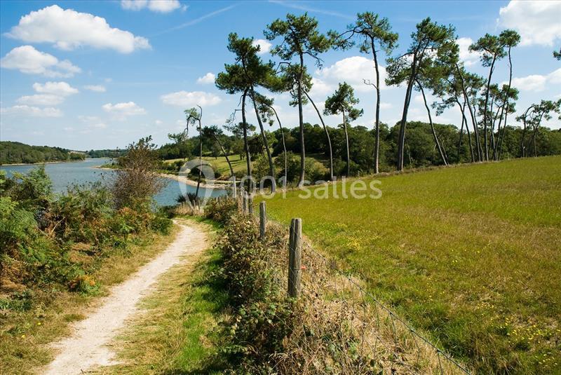 LAC DU JAUNAY Chemin de terre bordé de végétation menant à un paysage de rivière et de pins sous un ciel bleu.