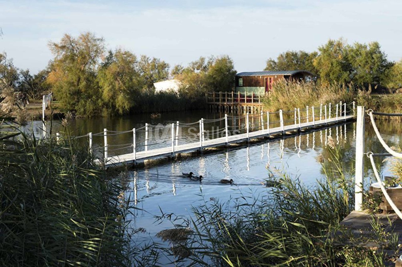 Passerelle en bois et cordes traversant un étang calme avec des canards, entourée de végétation et de cabanes.
