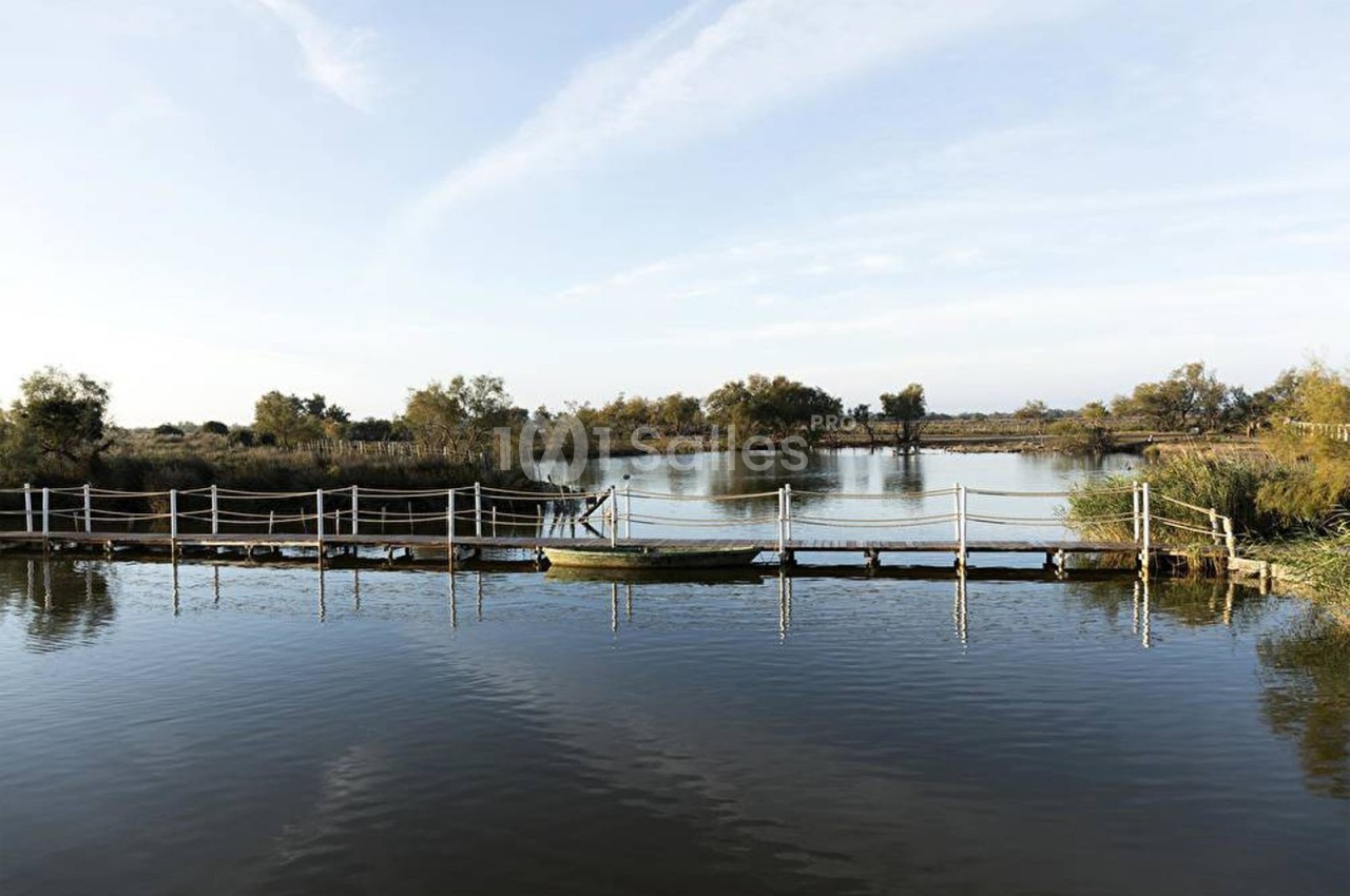 Passerelle en bois traversant un étang calme entouré de végétation et d'arbres sous un ciel dégagé.