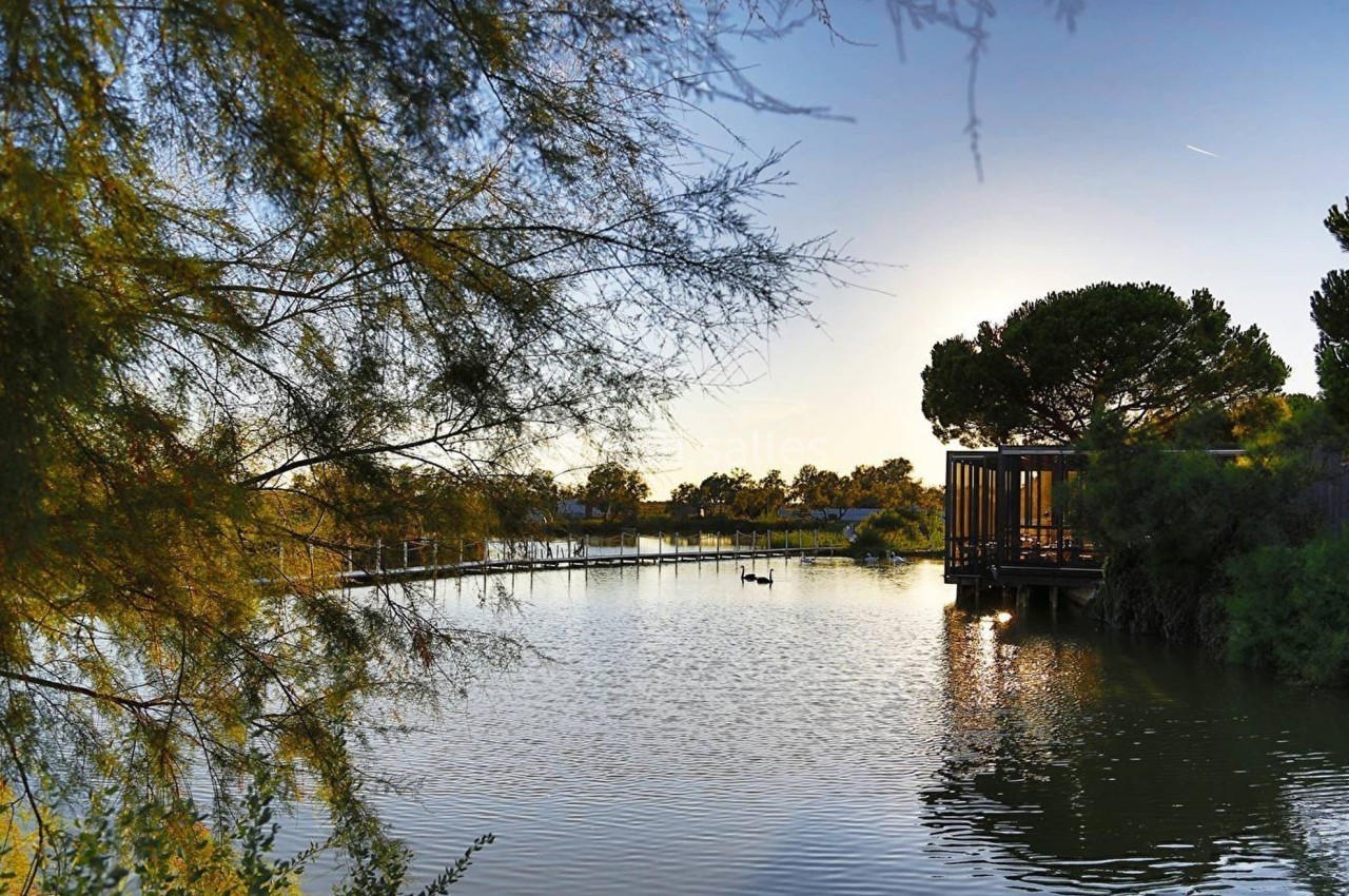 Étang paisible entouré de végétation, avec un ponton en bois et des arbres au coucher du soleil.