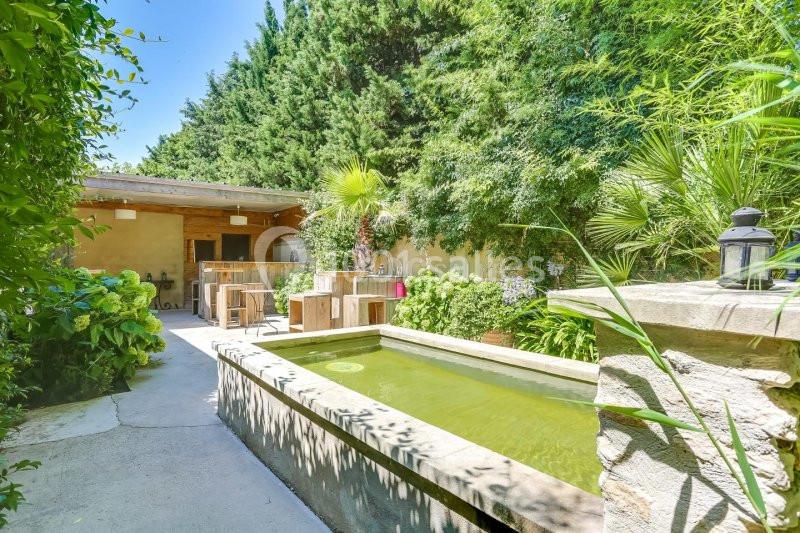 Cour extérieure avec bassin rectangulaire, mobilier en bois, végétation luxuriante et petite structure en arrière-plan.