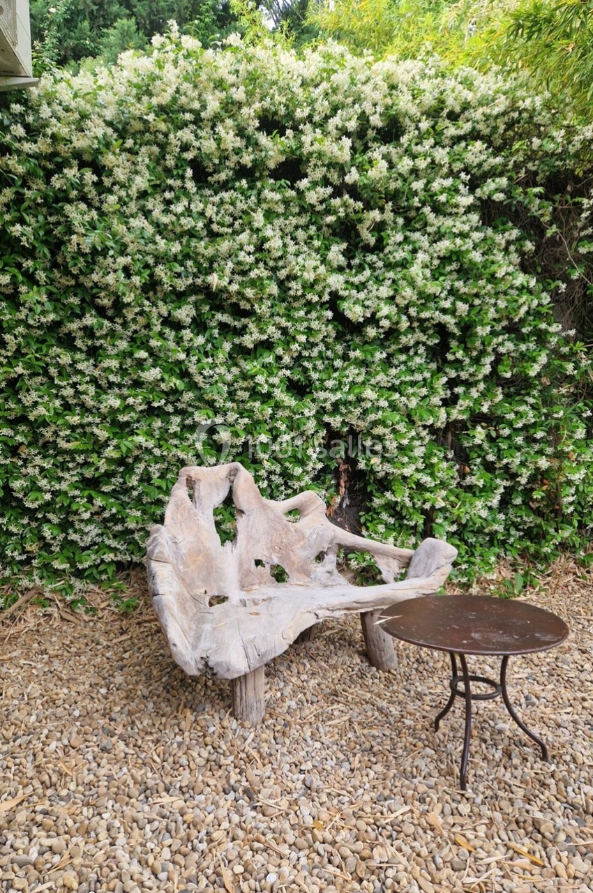 Banc en bois sculpté et table ronde en métal sur un sol de graviers, devant une haie fleurie.