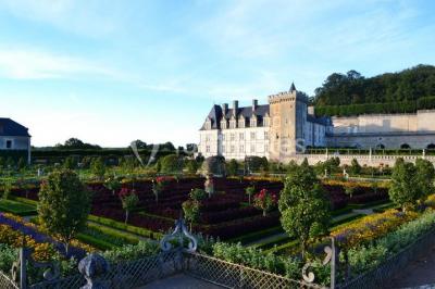 Miniature Location salle Villandry (Indre-et-Loire) - Château De Villandry #4 Location salle Villandry (Indre-et-Loire) - Château De Villandry #9
