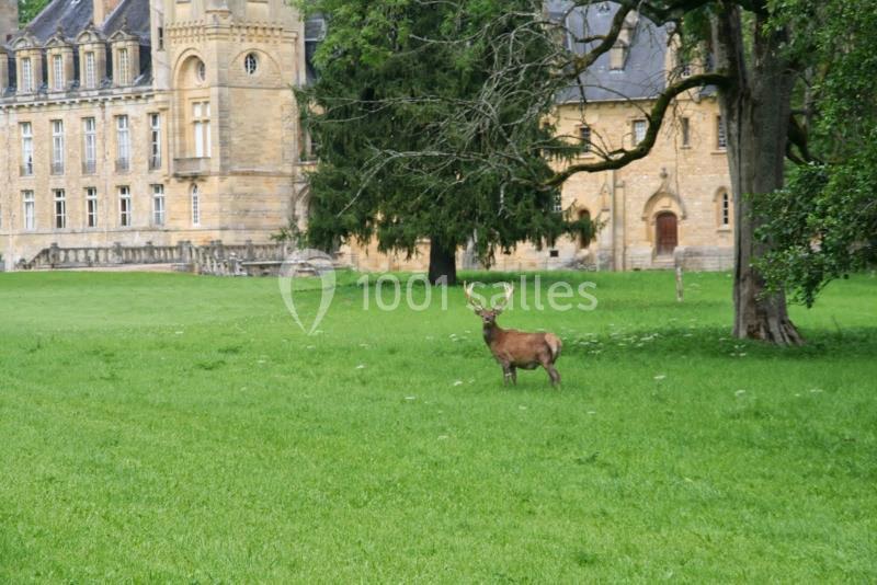 Château De Prye - galerie - photo 25