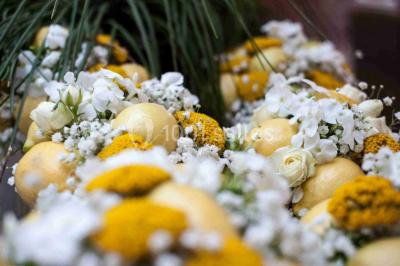 Miniature Location salle Grasse (Alpes-Maritimes) - Golf Saint Donat #11 Location salle Grasse (Alpes-Maritimes) - Golf Saint Donat #23