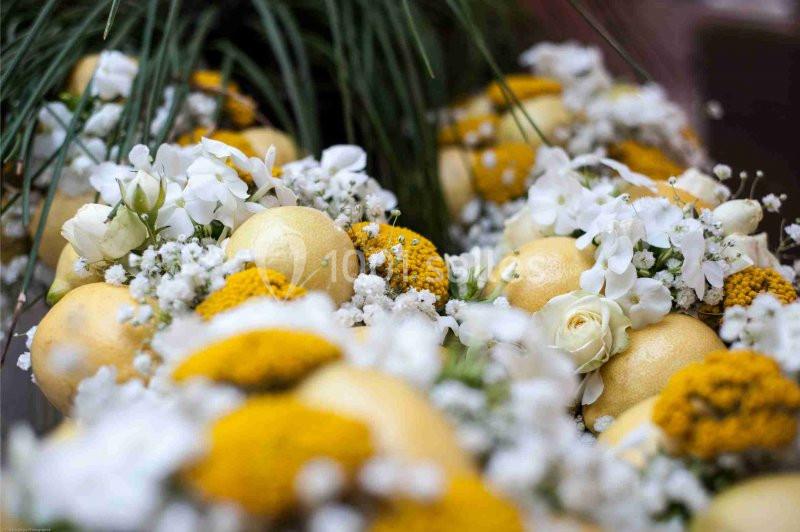 Location salle Grasse (Alpes-Maritimes) - Golf Saint Donat #11