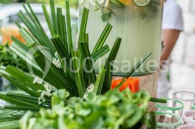 Miniature Location salle Grasse (Alpes-Maritimes) - Golf Saint Donat #15 Location salle Grasse (Alpes-Maritimes) - Golf Saint Donat #23