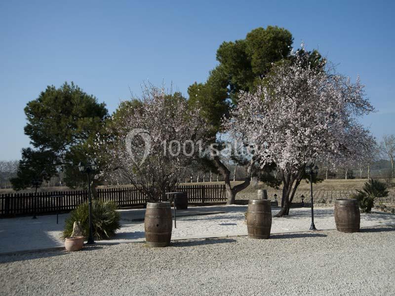 Domaine De L'ale - galerie - photo 14
