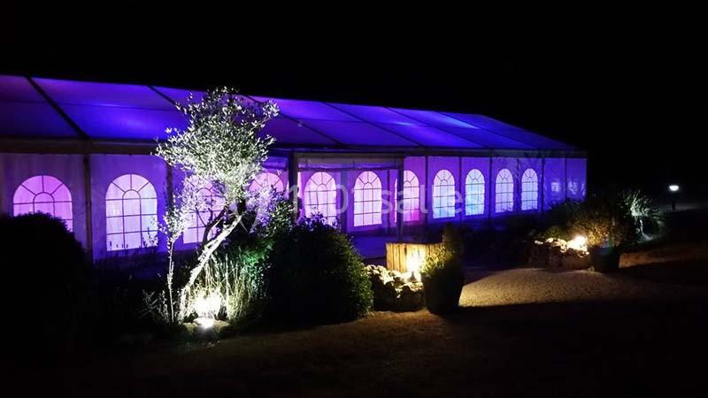 Tente éclairée en violet et bleu dans l'obscurité, entourée de végétation et d'arbustes éclairés.