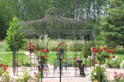Des Roses et des Tours - photo 3