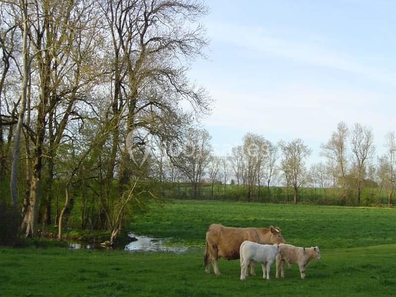 Domaine De La Gravette - galerie - photo 7