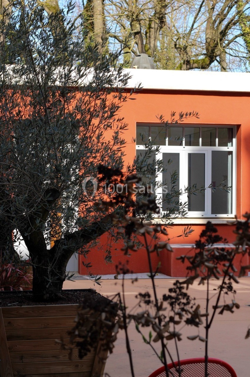 Cour avec un olivier en pot devant un bâtiment aux murs rouges et une fenêtre blanche, entourée de végétation.