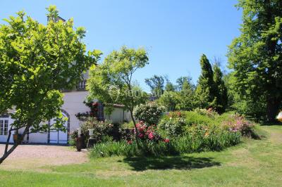 Champ de lotus en fleurs avec des feuilles vertes, des bourgeons et un étang en arrière-plan, entouré d'arbres.
