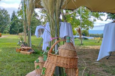 Champ de lotus en fleurs avec des feuilles vertes, des bourgeons et un étang en arrière-plan, entouré d'arbres.