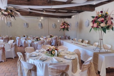 Champ de lotus en fleurs avec des feuilles vertes, des bourgeons et un étang en arrière-plan, entouré d'arbres.