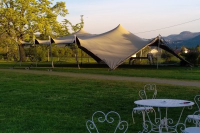 Champ de lotus en fleurs avec des feuilles vertes, des bourgeons et un étang en arrière-plan, entouré d'arbres.