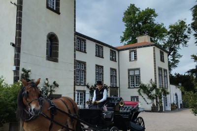 Champ de lotus en fleurs avec des feuilles vertes, des bourgeons et un étang en arrière-plan, entouré d'arbres.