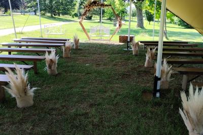 Champ de lotus en fleurs avec des feuilles vertes, des bourgeons et un étang en arrière-plan, entouré d'arbres.