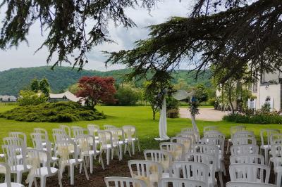 Champ de lotus en fleurs avec des feuilles vertes, des bourgeons et un étang en arrière-plan, entouré d'arbres.