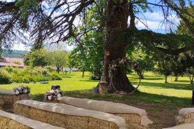 Champ de lotus en fleurs avec des feuilles vertes, des bourgeons et un étang en arrière-plan, entouré d'arbres.