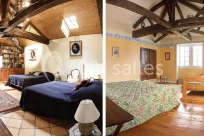 Champ de lotus en fleurs avec des feuilles vertes, des bourgeons et un étang en arrière-plan, entouré d'arbres.