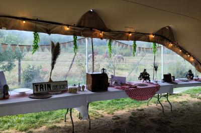 Champ de lotus en fleurs avec des feuilles vertes, des bourgeons et un étang en arrière-plan, entouré d'arbres.